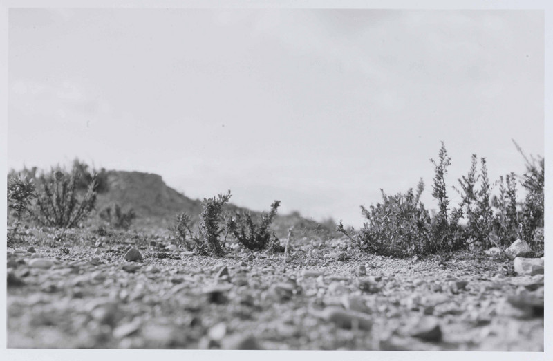 La photographie en cent chefs-d'oeuvre : Lewis Baltz (né en 1945). A Fos-sur-Mer. Mission photographique de la DATAR, 1986. Tirage argentique. 27 x 41 cm Don 1988 © DATAR BnF, Estampes et photographie